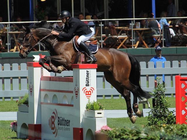 鲍文：对丹麦时草皮状况有点糟糕，刚上场差点把脚踝拗折了.