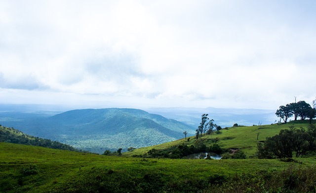 的比分取胜 的比分取胜