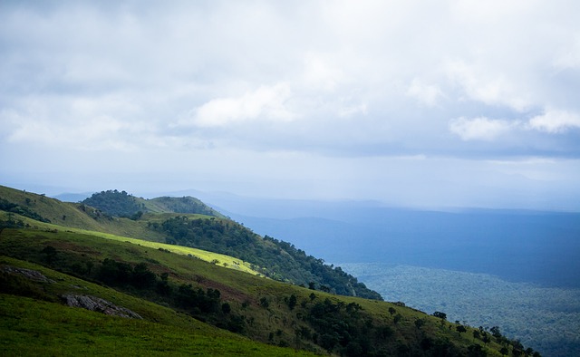 无论评价如 无论评价如