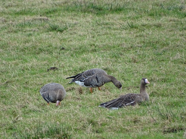 雷霆重建成功！交易大当家，送走二当家，联盟第一强队崛起.